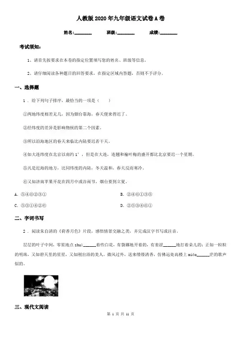 人教版2020年九年级语文试卷A卷