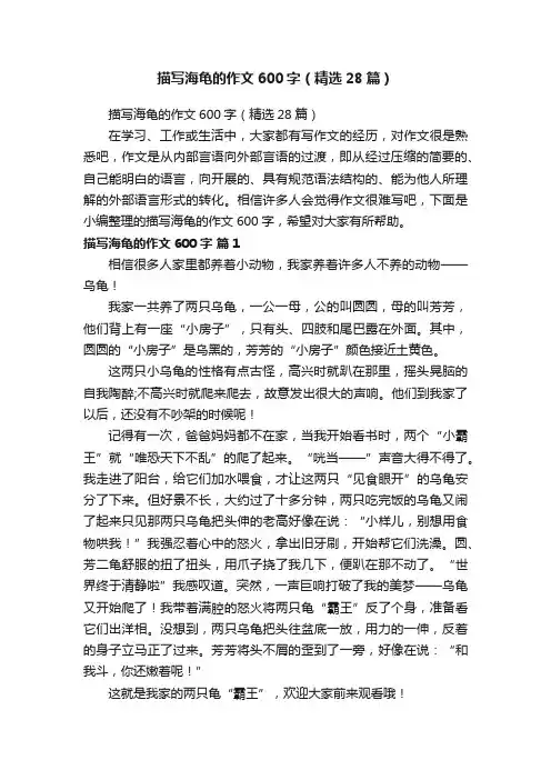 描写海龟的作文600字（精选28篇）