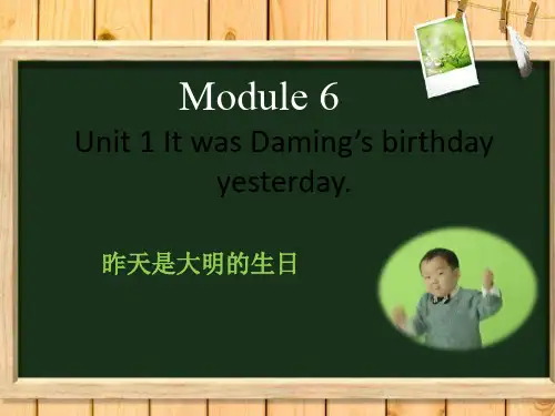 六年级英语下册Module 6 Unit 1 It was Daming's birthda外研版