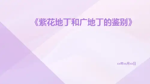 紫花地丁和广地丁的鉴别