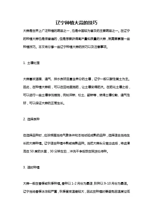 辽宁种植大蒜的技巧
