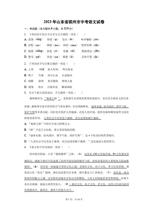 2023年山东省滨州市中考语文试卷(含解析)