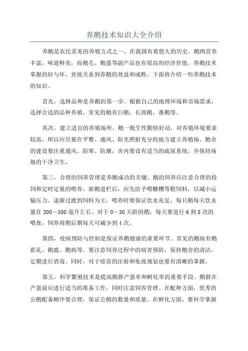 养鹅技术知识大全介绍