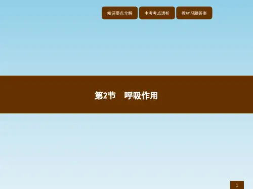 呼吸作用(北师大版)