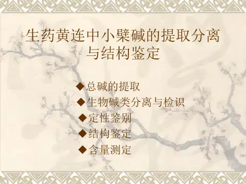 生药黄连中小檗碱
