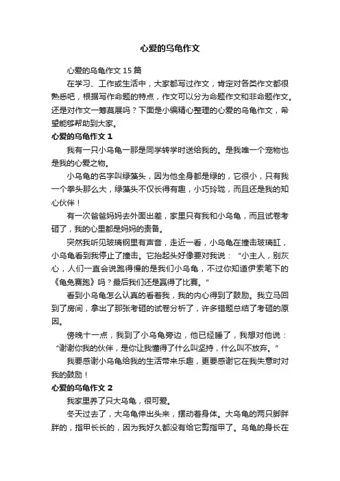 心爱的乌龟作文