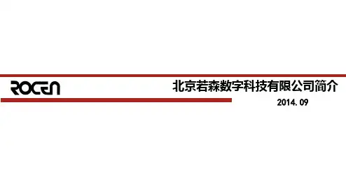 北京若森数字科技有限公司简介