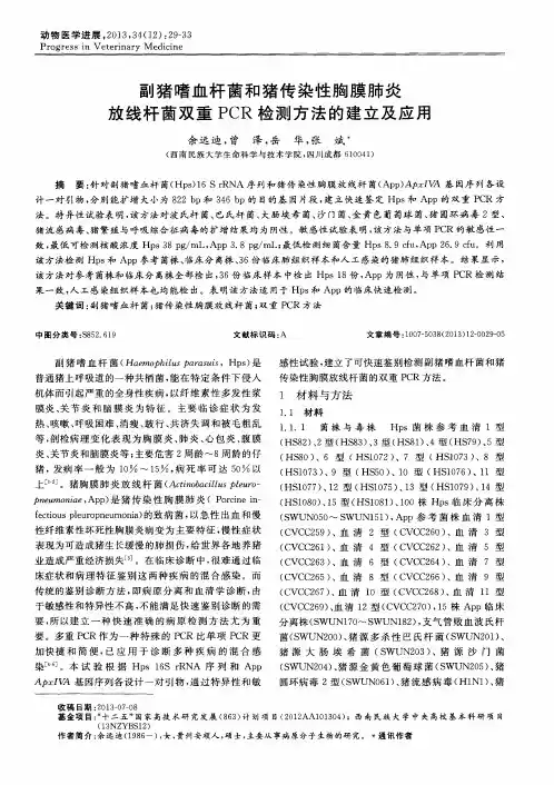 副猪嗜血杆菌和猪传染性胸膜肺炎放线杆菌双重PCR检测方法的建立及应用