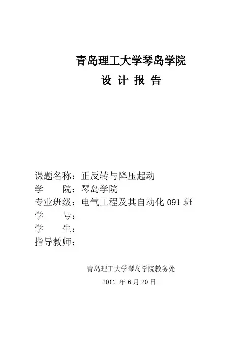 电机与拖动设计报告