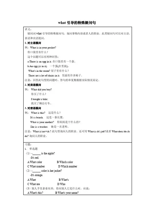 what引导的特殊疑问句