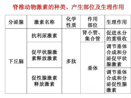 腺体-激素资料