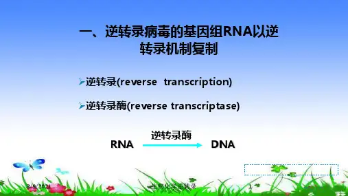 生物化学逆转录培训课件