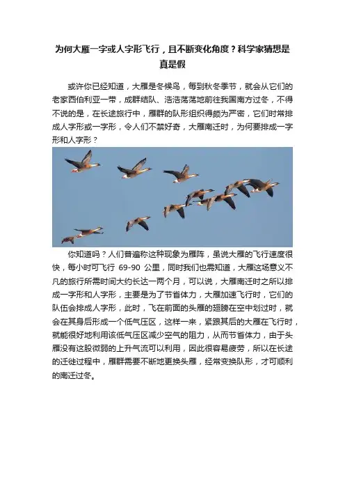 为何大雁一字或人字形飞行，且不断变化角度？科学家猜想是真是假
