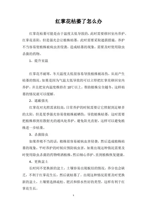 红掌花枯萎了怎么办