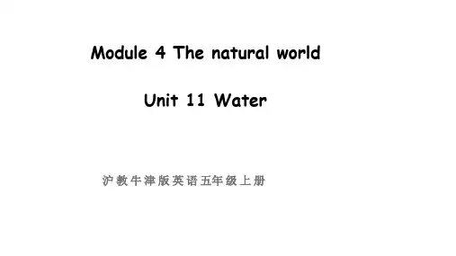 牛津上海版(三起)英语五年级上册Module 4 Unit 11 Water第一课时课件