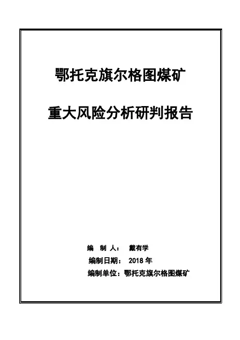 尔格图重大风险分析研判报告(最终)