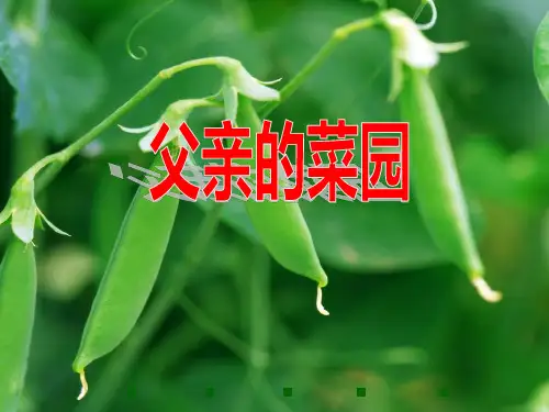 四年级语文下册课件-28父亲的菜园 3 _人教新课标(共10张PPT)