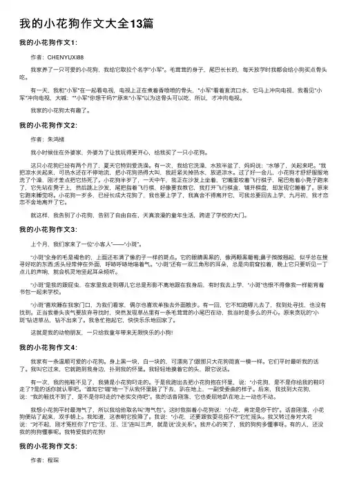 我的小花狗作文大全13篇