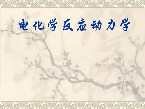 电化学反应动力学Butler-Volmer-模型教学内容