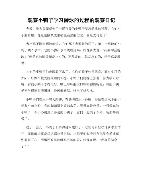 小学三年级作文观察小鸭子学习游泳的过程的观察日记