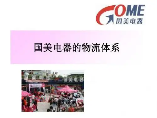 国美电器的物流的体系精品文档21页