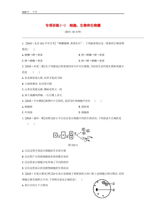 北京专版2020年中考生物复习专项训练5套