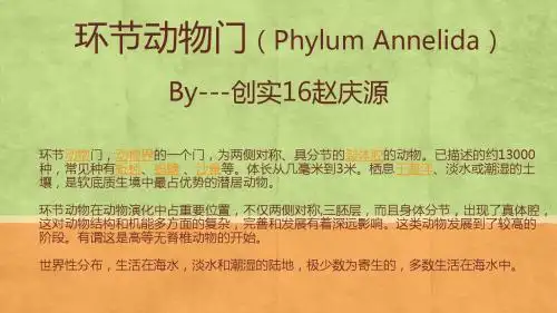 环节动物门(Phylum Annelida)