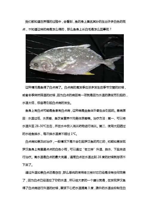 鱼身上有白点是怎么回事