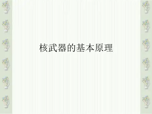 核武器的基本原理PPT课件