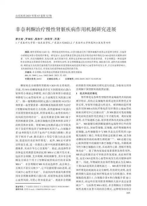 非奈利酮治疗慢性肾脏疾病作用机制研究进展