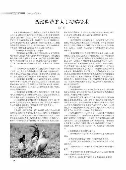 浅谈种鸡的人工授精技术