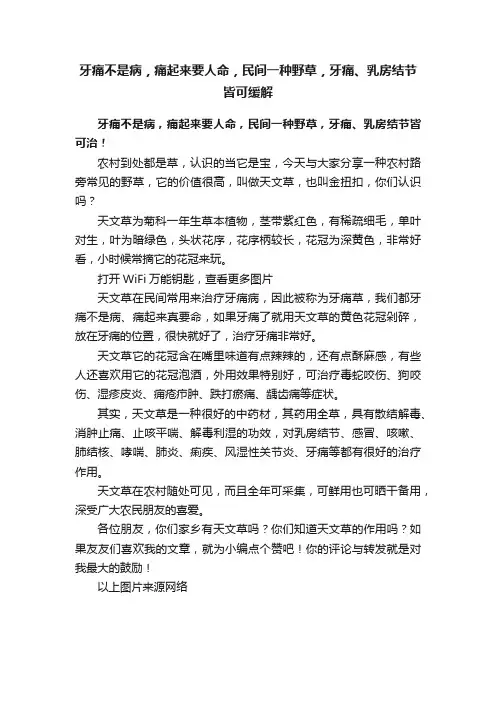 牙痛不是病，痛起来要人命，民间一种野草，牙痛、乳房结节皆可缓解