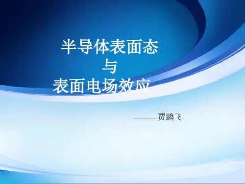 半导体mis结构ppt