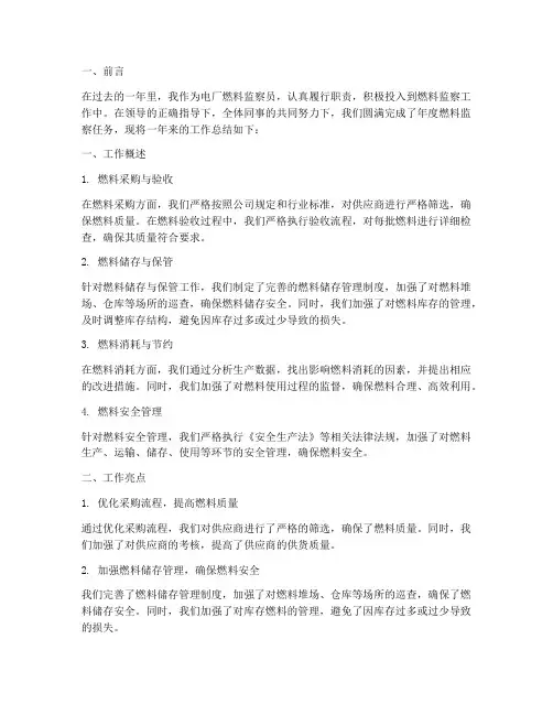 电厂燃料监察年度总结范文