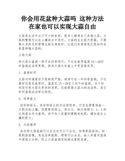 你会用花盆种大蒜吗 这种方法 在家也可以实现大蒜自由