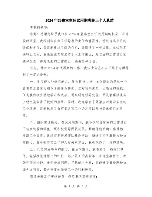 2024年监察室主任试用期满转正个人总结