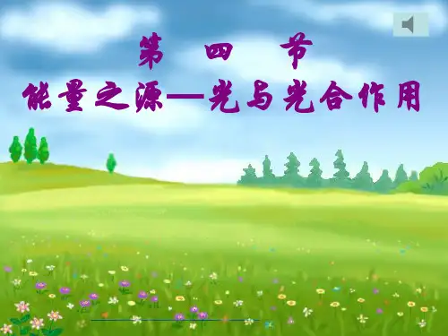 人教版生物必修一第五章第四节能量之源—光与光合作用