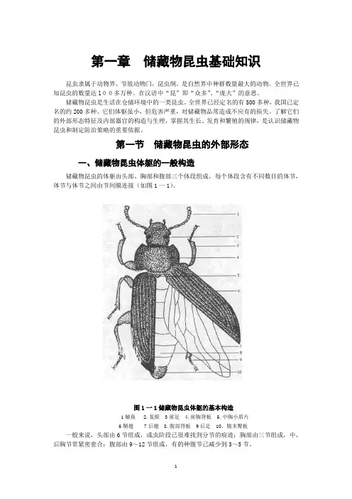 储粮昆虫基础知识图