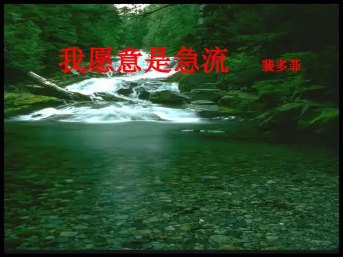 《我愿意是急流》ppt课件(30张)ppt课件
