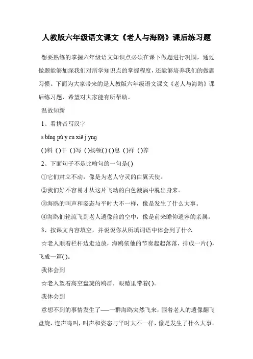 人教版六年级语文课文《老人与海鸥》课后练习题.doc