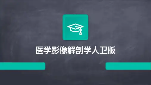 2024版医学影像解剖学人卫版