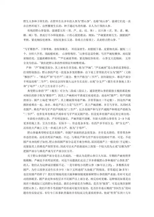 人参