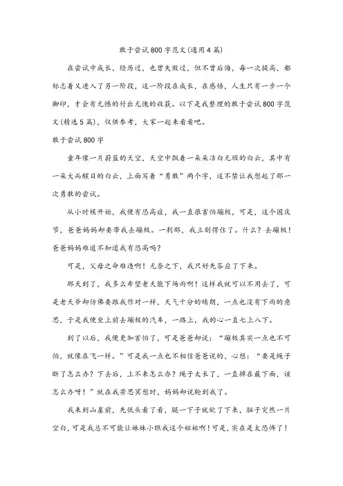 敢于尝试800字范文(通用4篇)