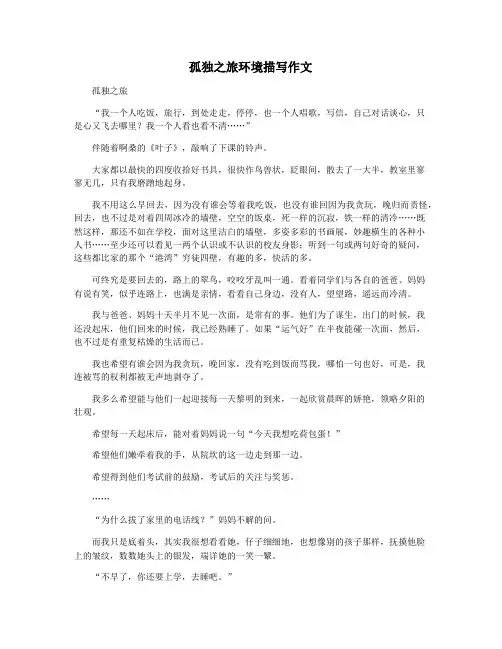 孤独之旅环境描写作文
