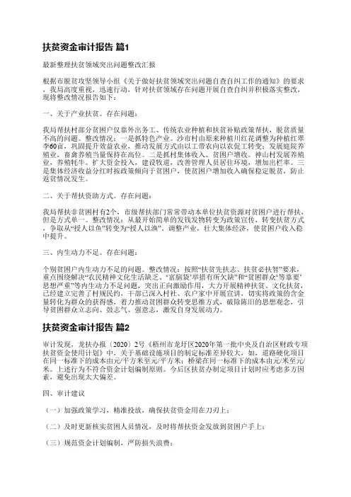 扶贫资金审计报告(实用5篇)