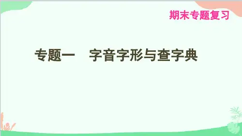 统编版语文八年级下册 期末复习专题一 字音字形与查字典课件