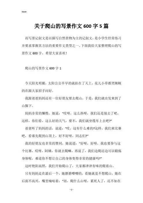 关于爬山的写景作文600字5篇