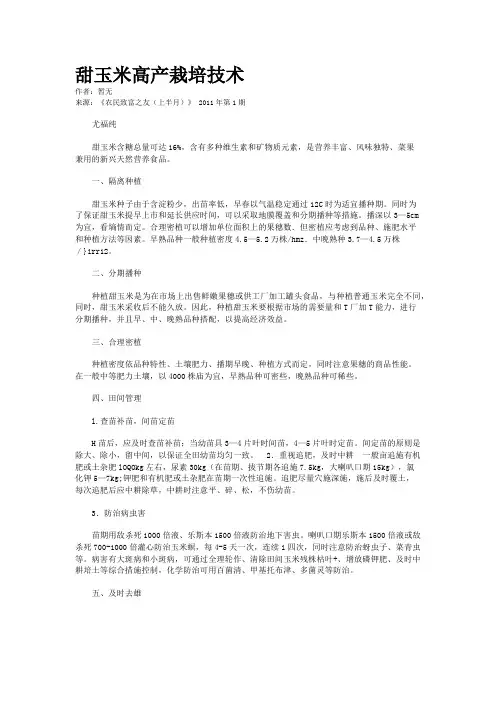 甜玉米高产栽培技术