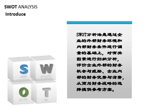 财务管理 SWOT分析