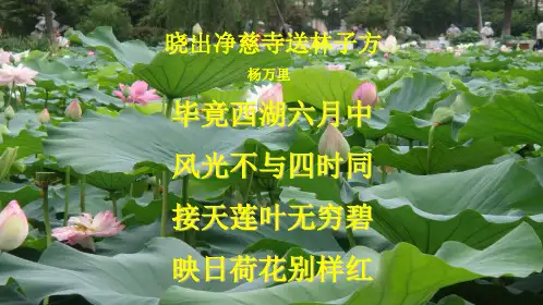 人教高中语文必修二1.1《荷塘月色》课件(共64张PPT)